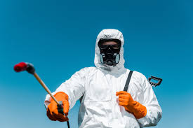 Best Termite Inspection and Treatment  in Lorton, VA